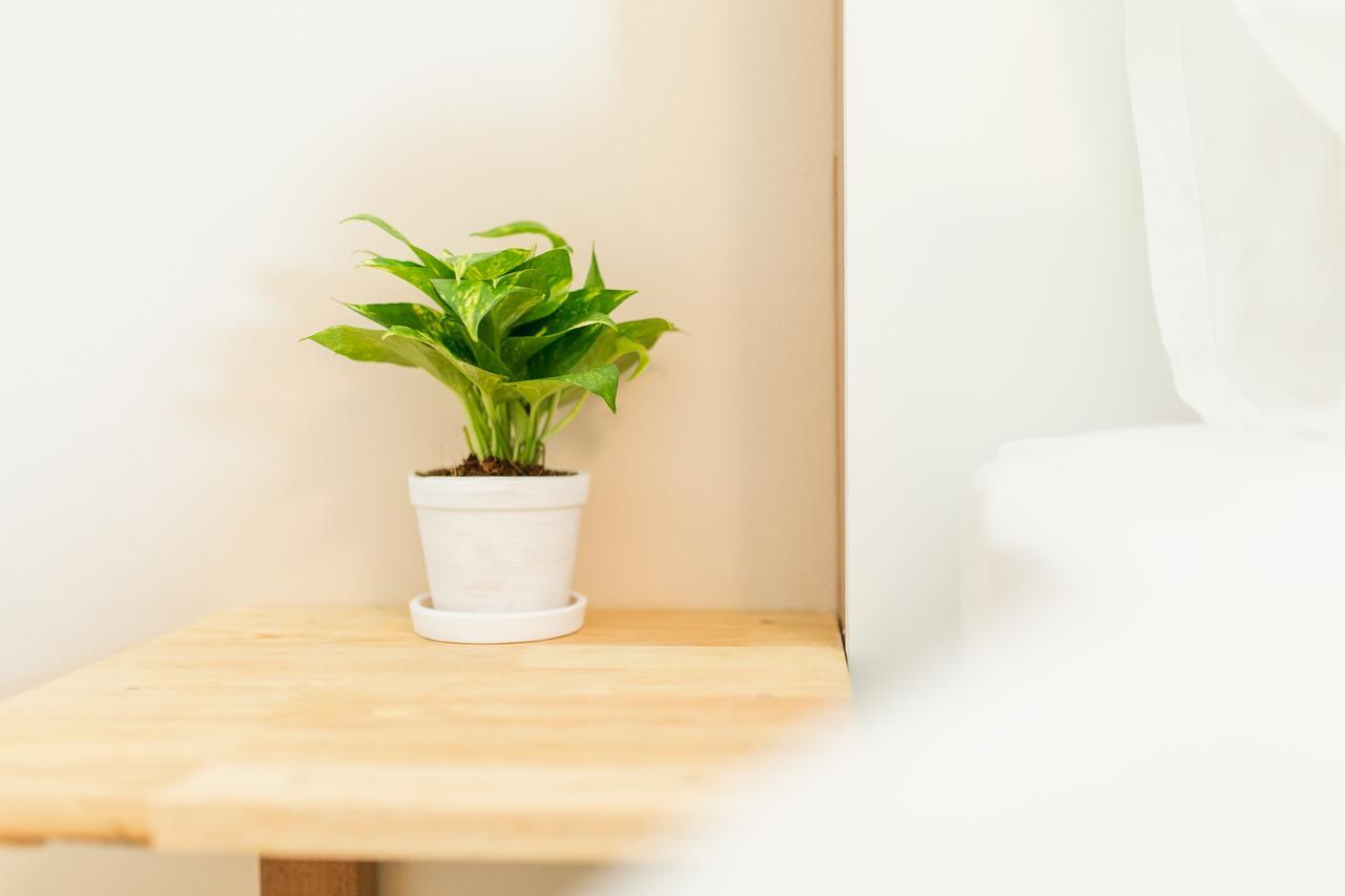 Habitat Hotel Chiang Mai Luaran gambar